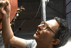 diagnostica non invasiva, beni culturali, conservazione, restauro, fotografia tecnica, luce radente, luce trasmessa, macrofotografia, fotomicrografia, fluorescenza UV, riflettografia infrarossa, imaging multispettrale, imaging iperspettrale, radiografia X, spettroscopia XRF, mappature XRF, spettroscopia Raman, FTIR, leganti pittorici, pigmenti, tomografia computerizzata, termografia, laser scanner 3D, fotogrammetria, pulitura laser, modelli 3D, intelligenza artificiale, machine learning, reti neurali, diagnostica multimodale, conservazione preventiva, analisi dei materiali, degrado dei materiali, sculture lignee, affreschi, manoscritti, palinsesti, materiali organici, materiali inorganici, tecniche di imaging, tecniche spettroscopiche, tecniche tomografiche, tecnologie laser, documentazione digitale, modelli tridimensionali, indagini preliminari, materiali pittorici, supporti lignei, supporti tessili, analisi strutturale, patrimonio culturale